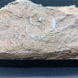 Flos Dios Felsige Wüstenlandschaft Diorama-Base für 1/6 Actionfiguren