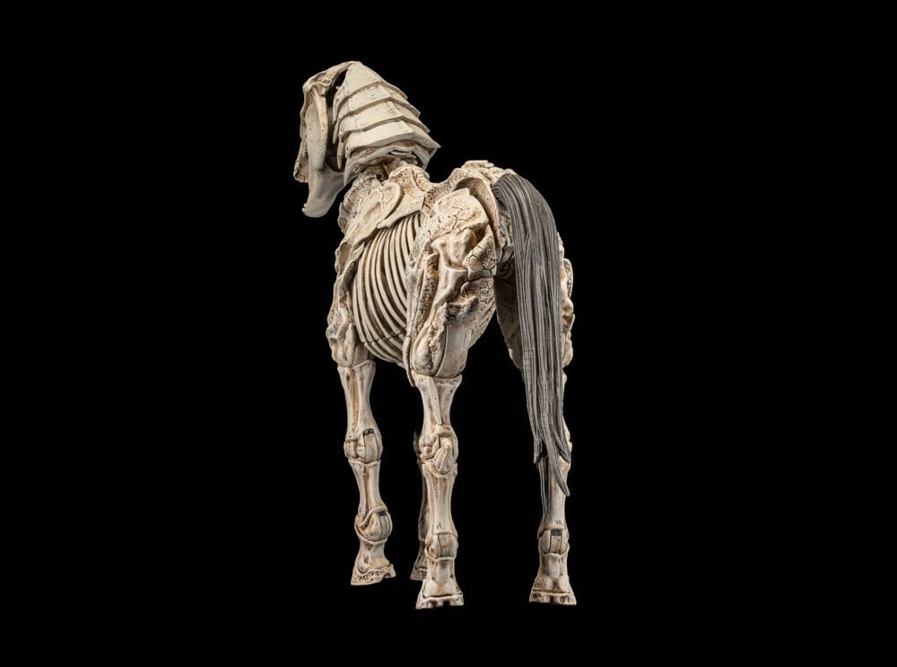 Four Horsemen Toy Design Mythic Legions Reinforcement 3 Skeleton Steed Legion Builder Actionfigur