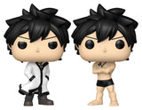Funko Fairy Tail 100 Year Quest Gray w/Chase Sortiment (6) POP! Animation Vinyl Figuren