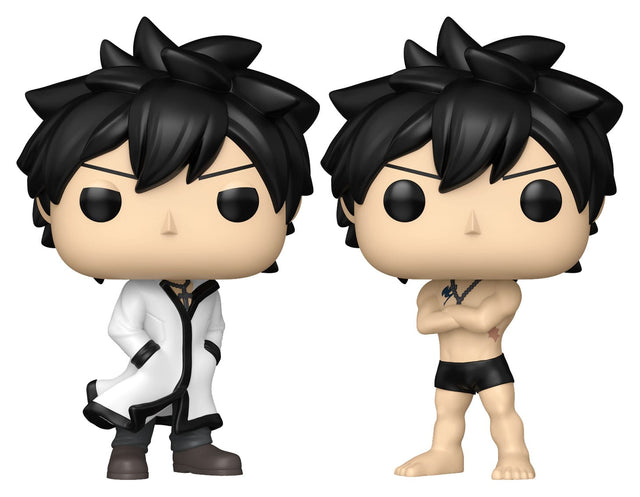 Funko Fairy Tail 100 Year Quest Gray w/Chase Sortiment (6) POP! Animation Vinyl Figuren