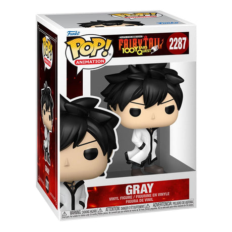 Funko Fairy Tail 100 Year Quest Gray w/Chase Sortiment (6) POP! Animation Vinyl Figuren