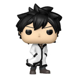 Funko Fairy Tail 100 Year Quest Gray w/Chase Sortiment (6) POP! Animation Vinyl Figuren