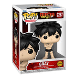 Funko Fairy Tail 100 Year Quest Gray w/Chase Sortiment (6) POP! Animation Vinyl Figuren