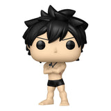 Funko Fairy Tail 100 Year Quest Gray w/Chase Sortiment (6) POP! Animation Vinyl Figuren