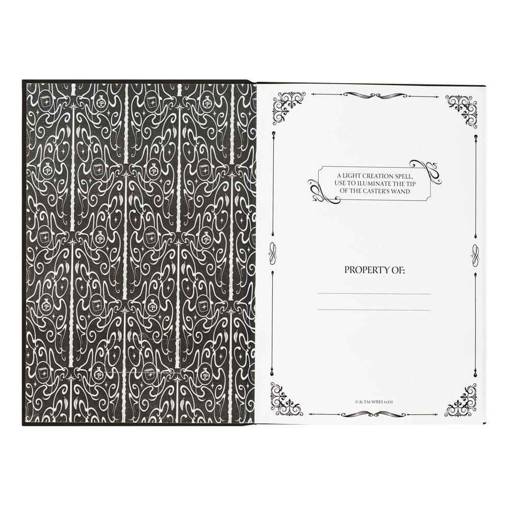 Grupo Erik Harry Potter Premium Notizbuch mit Licht A5 Lumos Maxima