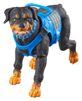 Hasbro G.I. Joe Classified Series Mad Marauders Footloose Mutt Junkyard 3er-Pack Actionfiguren