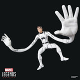 Hasbro Marvel Future Foundation Mister Fantastic & Spider-Man Legends 2er-Pack Actionfiguren