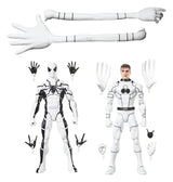 Hasbro Marvel Future Foundation Mister Fantastic & Spider-Man Legends 2er-Pack Actionfiguren