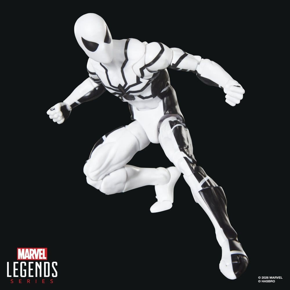 Hasbro Marvel Future Foundation Mister Fantastic & Spider-Man Legends 2er-Pack Actionfiguren