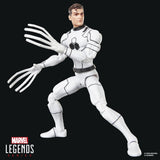 Hasbro Marvel Future Foundation Mister Fantastic & Spider-Man Legends 2er-Pack Actionfiguren