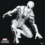 Hasbro Marvel Future Foundation Mister Fantastic & Spider-Man Legends 2er-Pack Actionfiguren