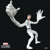 Hasbro Marvel Future Foundation Mister Fantastic & Spider-Man Legends 2er-Pack Actionfiguren
