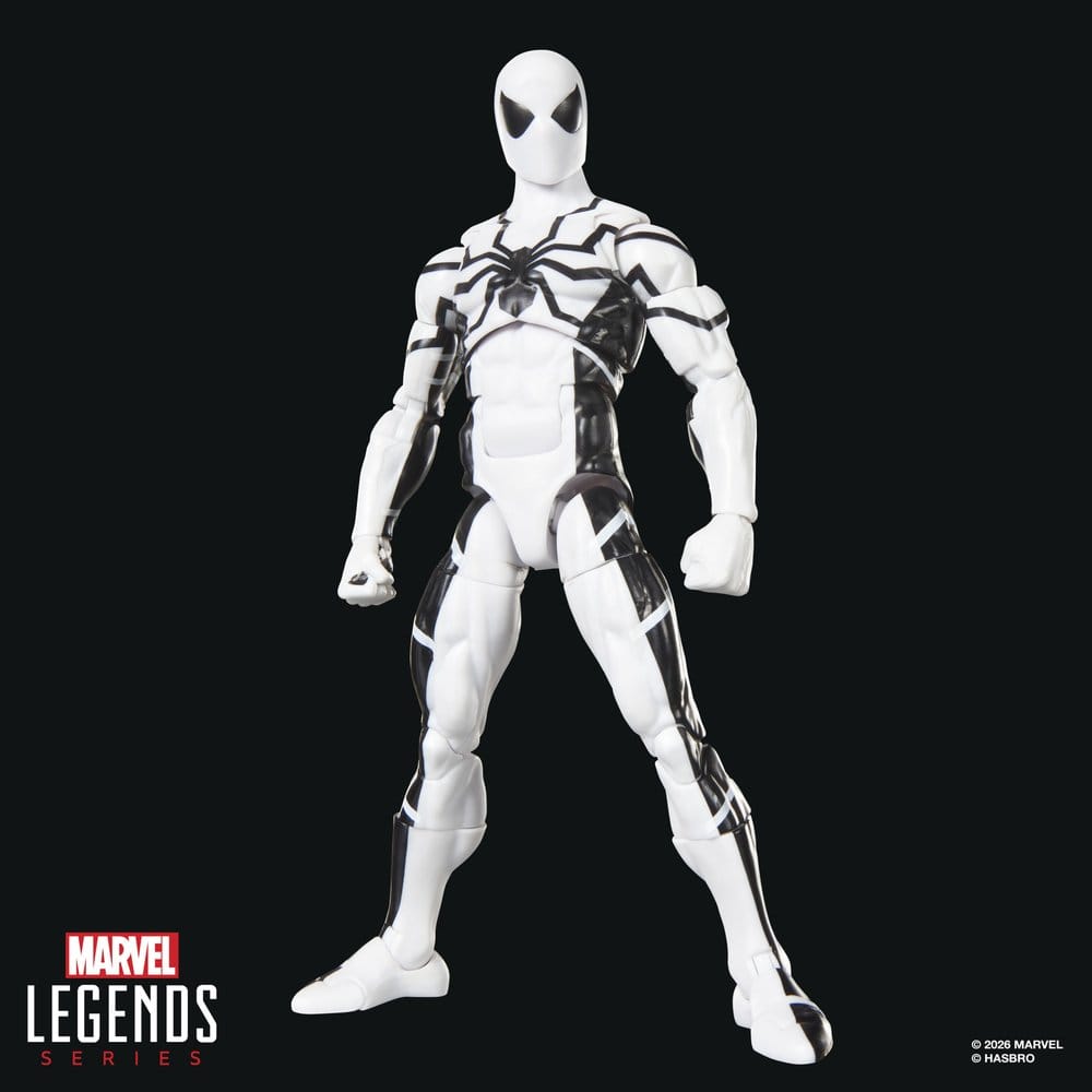 Hasbro Marvel Future Foundation Mister Fantastic & Spider-Man Legends 2er-Pack Actionfiguren