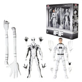 Hasbro Marvel Future Foundation Mister Fantastic & Spider-Man Legends 2er-Pack Actionfiguren