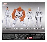 Hasbro Marvel Legends Future Foundation The Thing & Invisible Woman 2er-Pack Actionfiguren