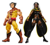 Hasbro Marvel Legends Storm & Wolverine 2er-Pack Actionfiguren