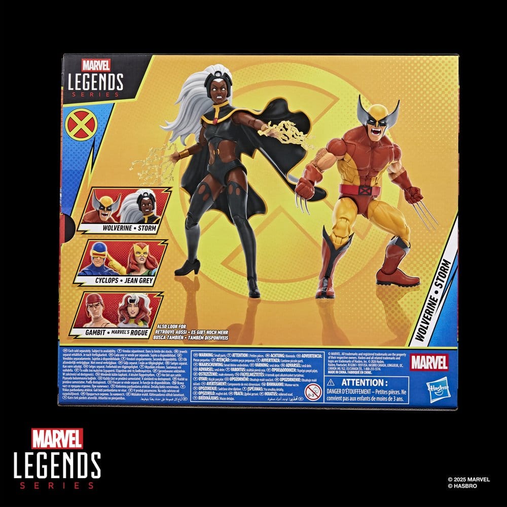 Hasbro Marvel Legends Storm & Wolverine 2er-Pack Actionfiguren