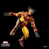 Hasbro Marvel Legends Storm & Wolverine 2er-Pack Actionfiguren
