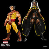 Hasbro Marvel Legends Storm & Wolverine 2er-Pack Actionfiguren