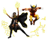 Hasbro Marvel Legends Storm & Wolverine 2er-Pack Actionfiguren
