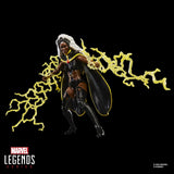 Hasbro Marvel Legends Storm & Wolverine 2er-Pack Actionfiguren
