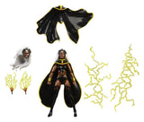 Hasbro Marvel Legends Storm & Wolverine 2er-Pack Actionfiguren