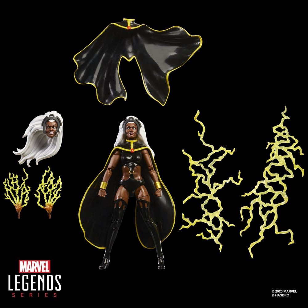 Hasbro Marvel Legends Storm & Wolverine 2er-Pack Actionfiguren