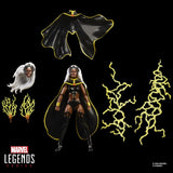 Hasbro Marvel Legends Storm & Wolverine 2er-Pack Actionfiguren
