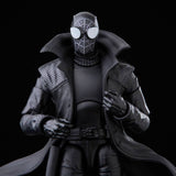 Hasbro Spider-Man A New Universe 2er-Pack 2022 Spider-Man Noir & Spider-Ham Marvel Legends Actionfiguren