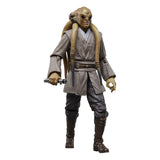 Hasbro Star Wars Episode III Kit Fisto 20th Anniversary Black Series Actionfigur