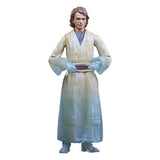 Hasbro Star Wars Episode VI Force Spirits Black Series 3er-Pack Actionfiguren