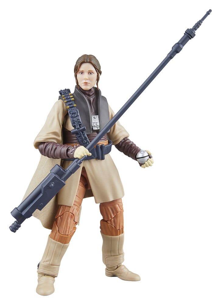Hasbro Star Wars Shadows of the Empire Luke Skywalker (Imperial Guard) & Princess Leia Organa (Boushh) Black Series