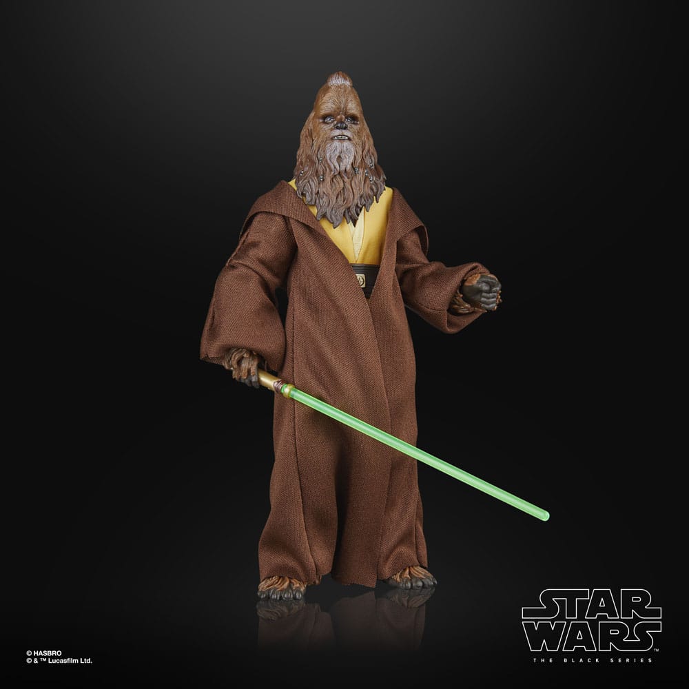 Hasbro Star Wars The Acolyte Black Series Jedi Master Kelnacca Actionfigur