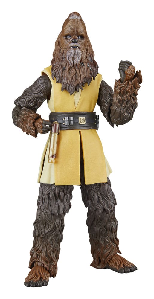 Hasbro Star Wars The Acolyte Black Series Jedi Master Kelnacca Actionfigur