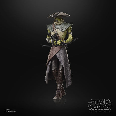 Hasbro Star Wars The Mandalorian Embo Black Series Actionfigur
