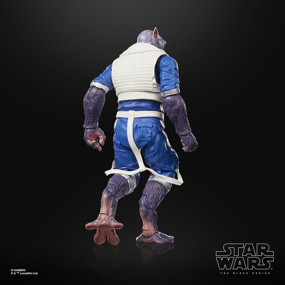 Hasbro Star Wars The Mandalorian & Grogu Black Series Garazeb Zeb Orrelios Actionfigur