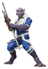 Hasbro Star Wars The Mandalorian & Grogu Black Series Garazeb Zeb Orrelios Actionfigur