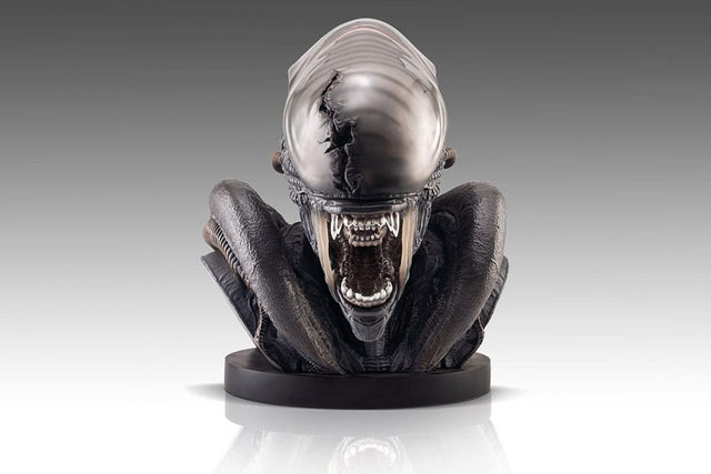 Hollywood Collectibles Group Alien Romulus Xenomorph 1/1 Büste