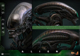 Hot Toys Alien Big Chap 1/6 Actionfigur