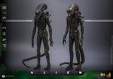 Hot Toys Alien Big Chap 1/6 Actionfigur