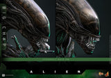Hot Toys Alien Big Chap 1/6 Actionfigur