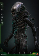 Hot Toys Alien Big Chap 1/6 Actionfigur