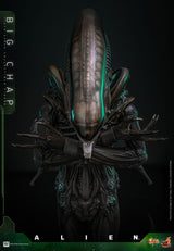 Hot Toys Alien Big Chap 1/6 Actionfigur