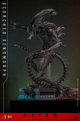 Hot Toys Alien - Romulus Scorched Xenomorph Movie Masterpiece 44 cm 1/6 Actionfigur