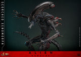Hot Toys Alien - Romulus Scorched Xenomorph Movie Masterpiece 44 cm 1/6 Actionfigur