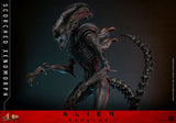 Hot Toys Alien - Romulus Scorched Xenomorph Movie Masterpiece 44 cm 1/6 Actionfigur