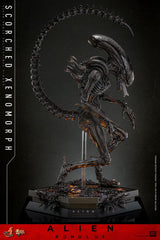 Hot Toys Alien - Romulus Scorched Xenomorph Movie Masterpiece 44 cm 1/6 Actionfigur