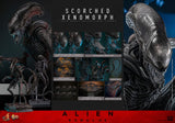 Hot Toys Alien - Romulus Scorched Xenomorph Movie Masterpiece 44 cm 1/6 Actionfigur