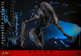 Hot Toys Alien - Romulus Scorched Xenomorph Movie Masterpiece 44 cm 1/6 Actionfigur
