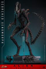 Hot Toys Alien - Romulus Scorched Xenomorph Movie Masterpiece 44 cm 1/6 Actionfigur
